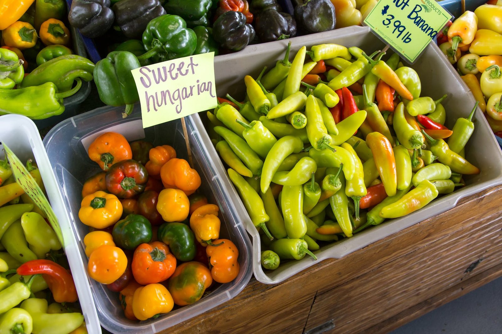assorted peppers on display