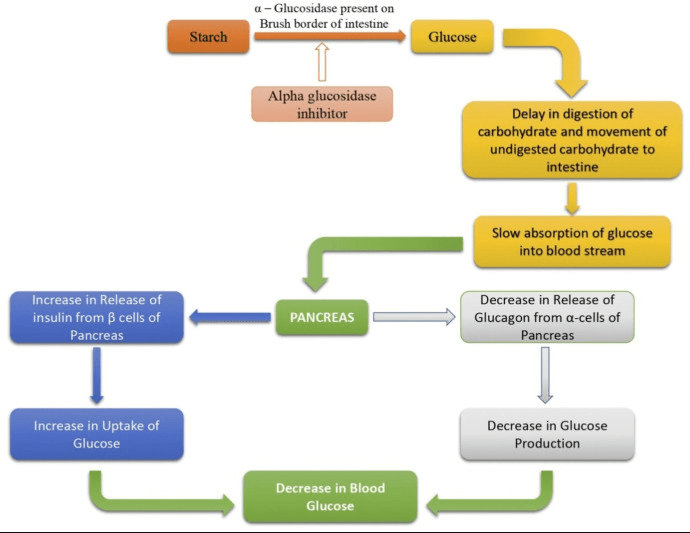 Innovative Approaches to Insulin Delivery